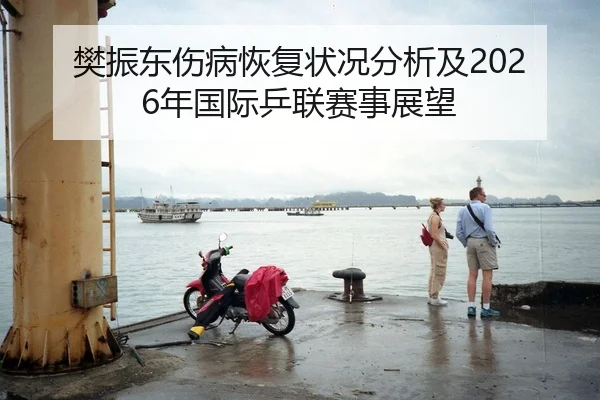 樊振东伤病恢复状况分析及2026年国际乒联赛事展望