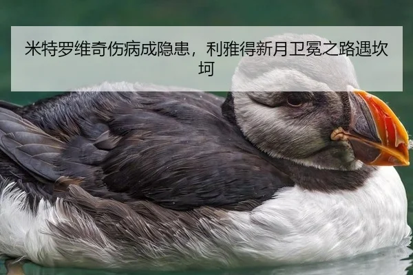 米特罗维奇伤病成隐患，利雅得新月卫冕之路遇坎坷